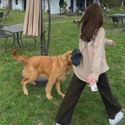 血仓